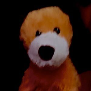 Meet your Posher, Enrique